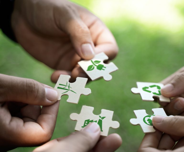 green puzzle